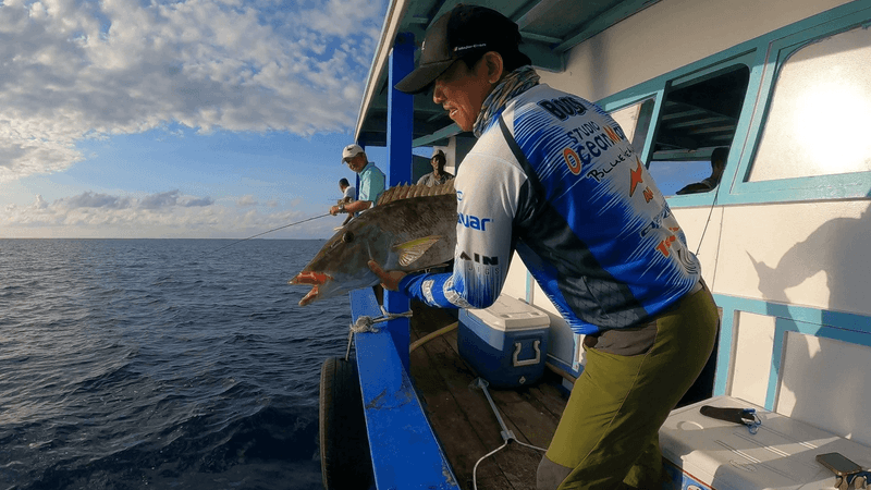 Beyond the Catch.