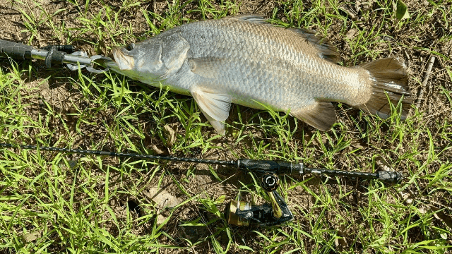 Bone Voyage Salt Finesse UL Travel Rod (BVS704UL)
