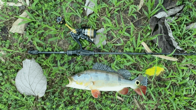 Bone Voyage Salt Finesse UL Travel Rod (BVS704UL)