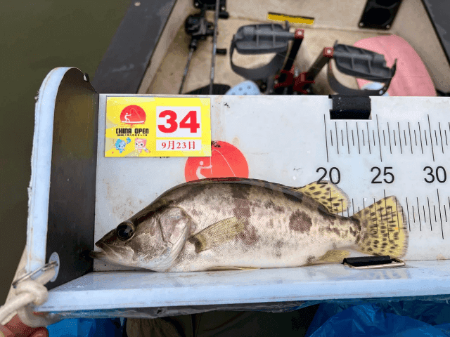 Bone Voyage Salt Finesse UL Travel Rod (BVS704UL)