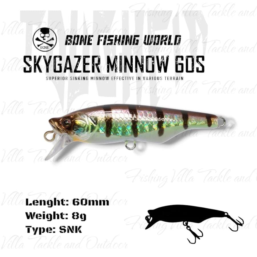 Bone skygazer minnow, image 3 of 6