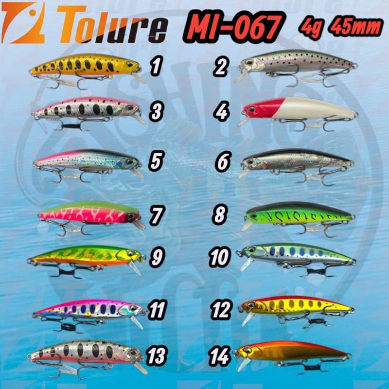TOLURE MI-005-067