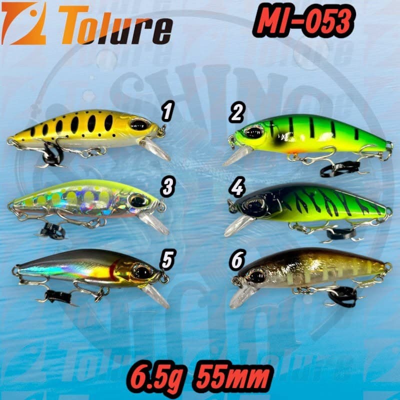 TOLURE MI-005-053