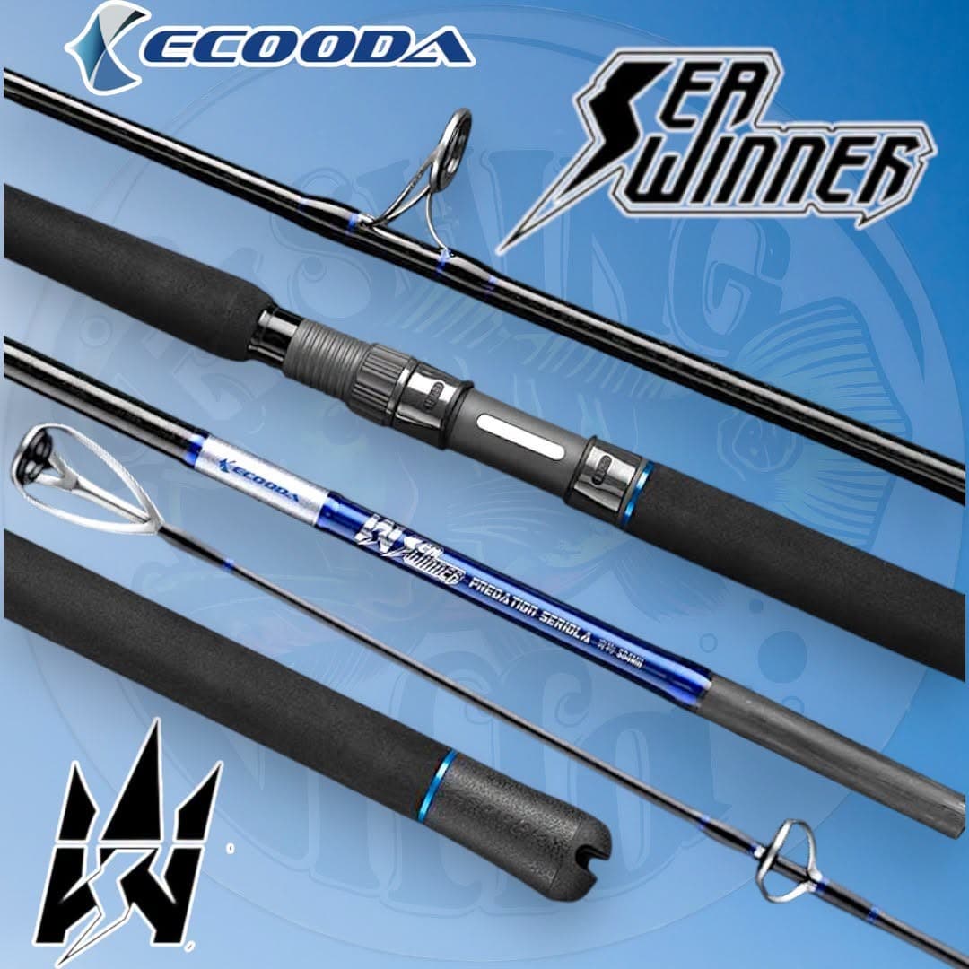 Ecooda Sea Winner Predation Seriola