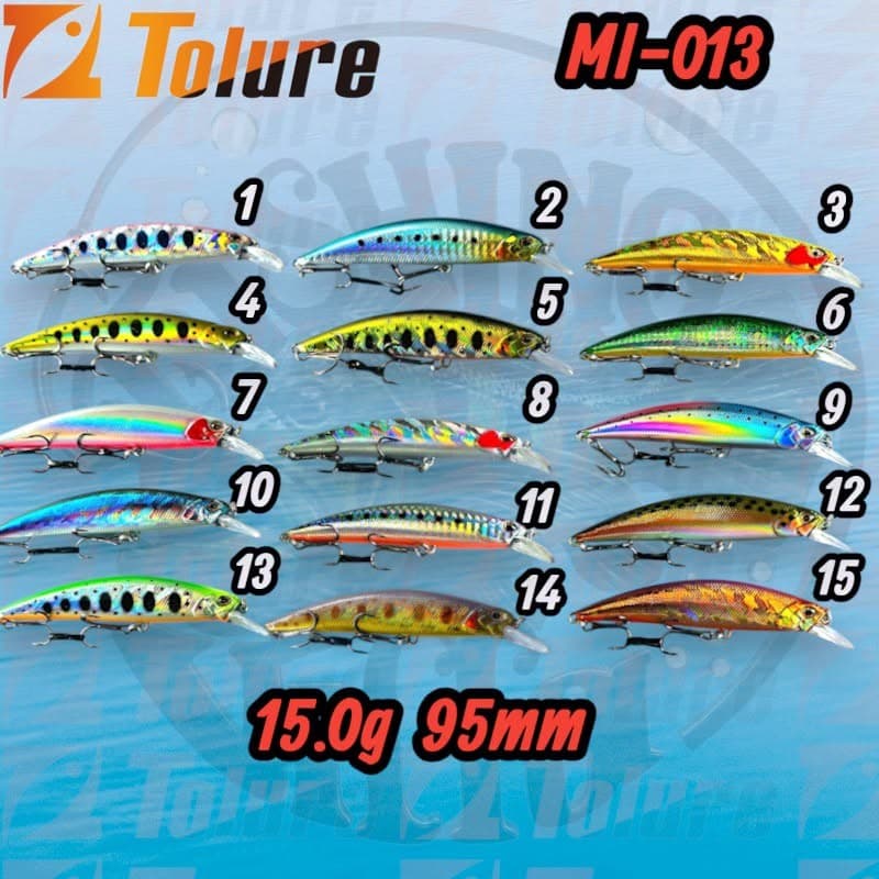 TOLURE MI-005-013