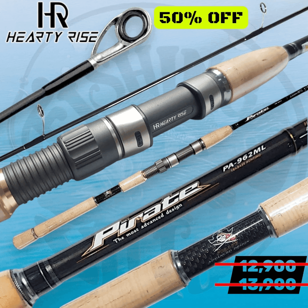 Hearty Rise Pirate Sea Bass Hunting