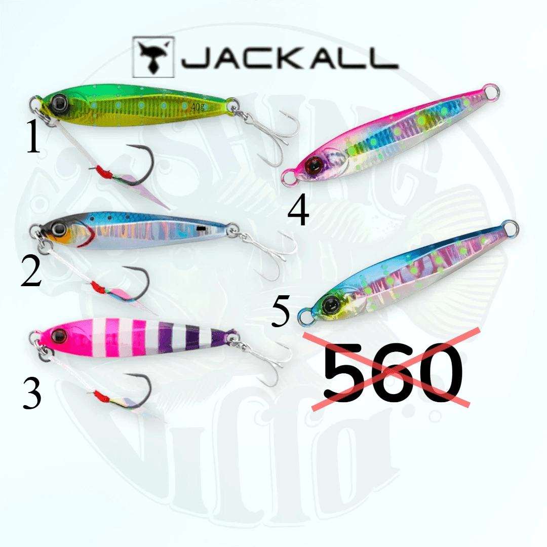 Jackall Bigbacker Jig