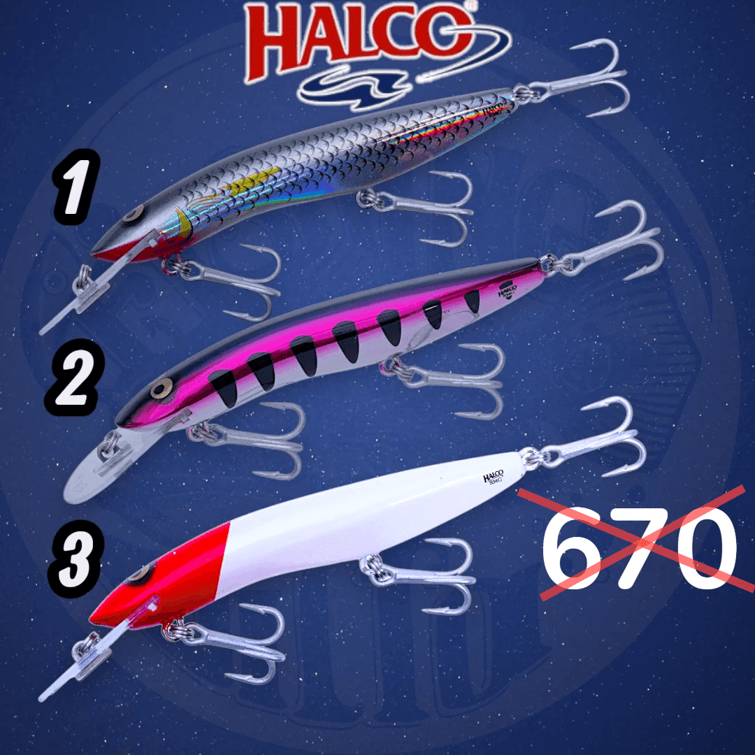 Halco Sorcerer 125 STD 3m+