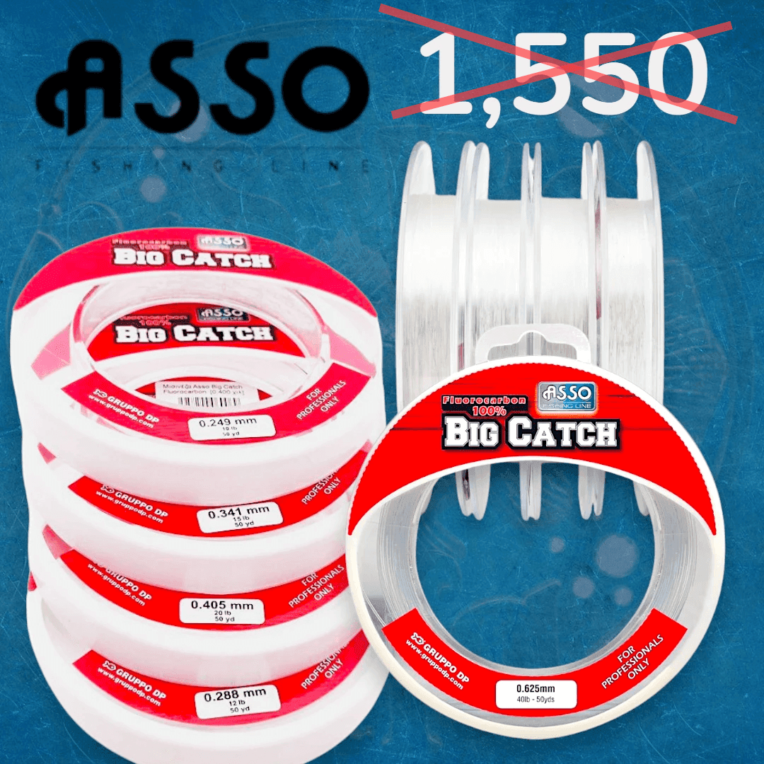 Asso Big Catch Flourocarbon