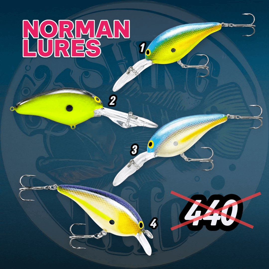 Norman Lures DD22 Crankbait