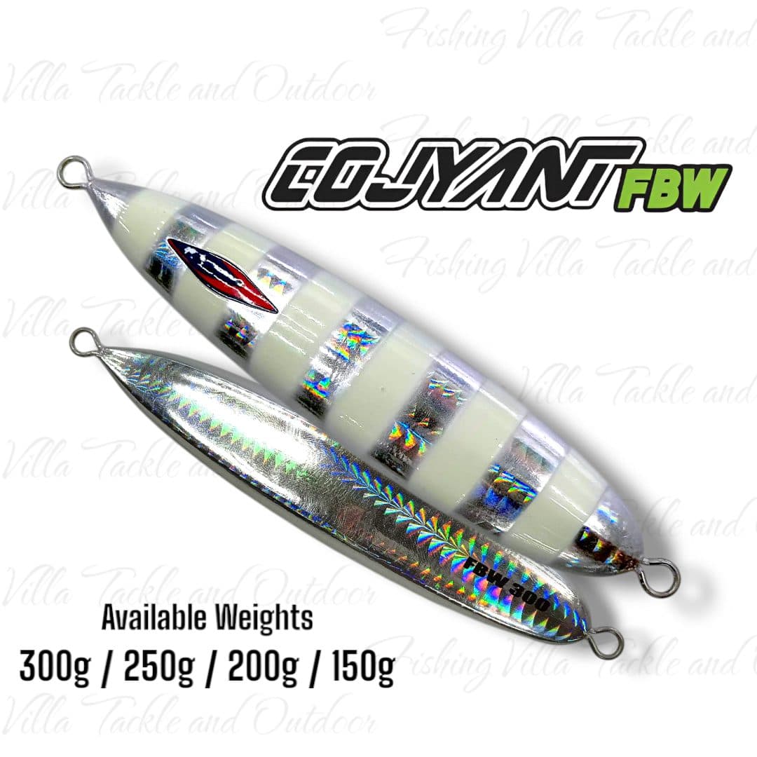 Cojyant FBW, image 3 of 3