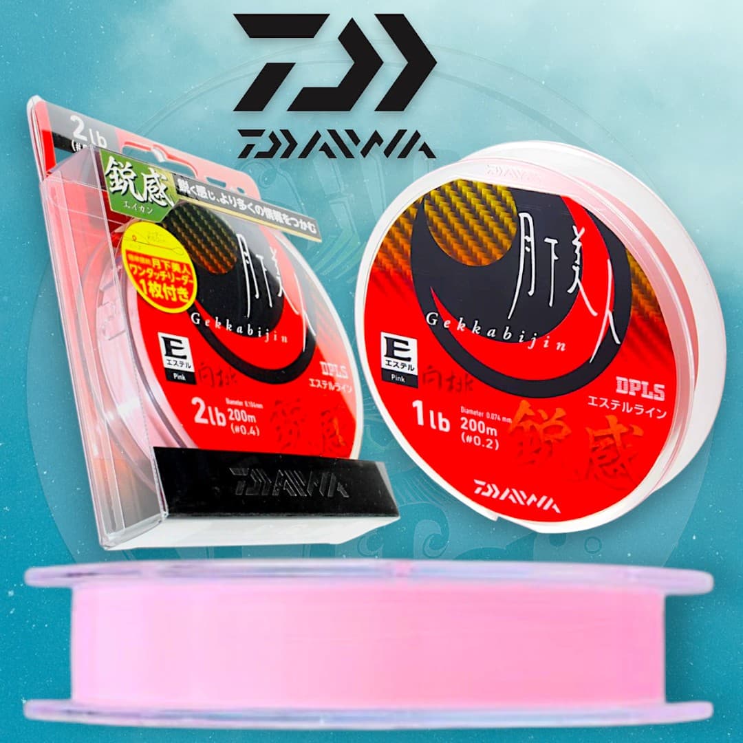 Daiwa gekkabijin type E EIKAN