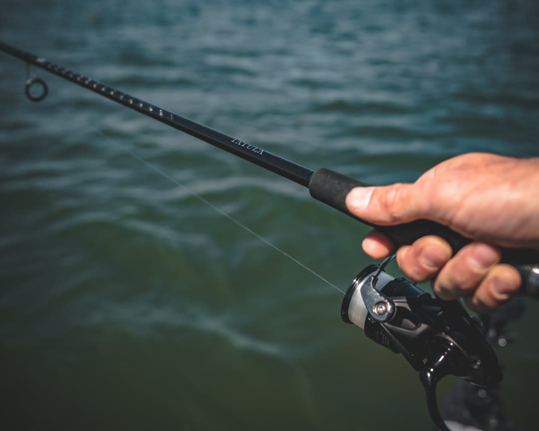 Daiwa Tatula XT, image 2 of 5