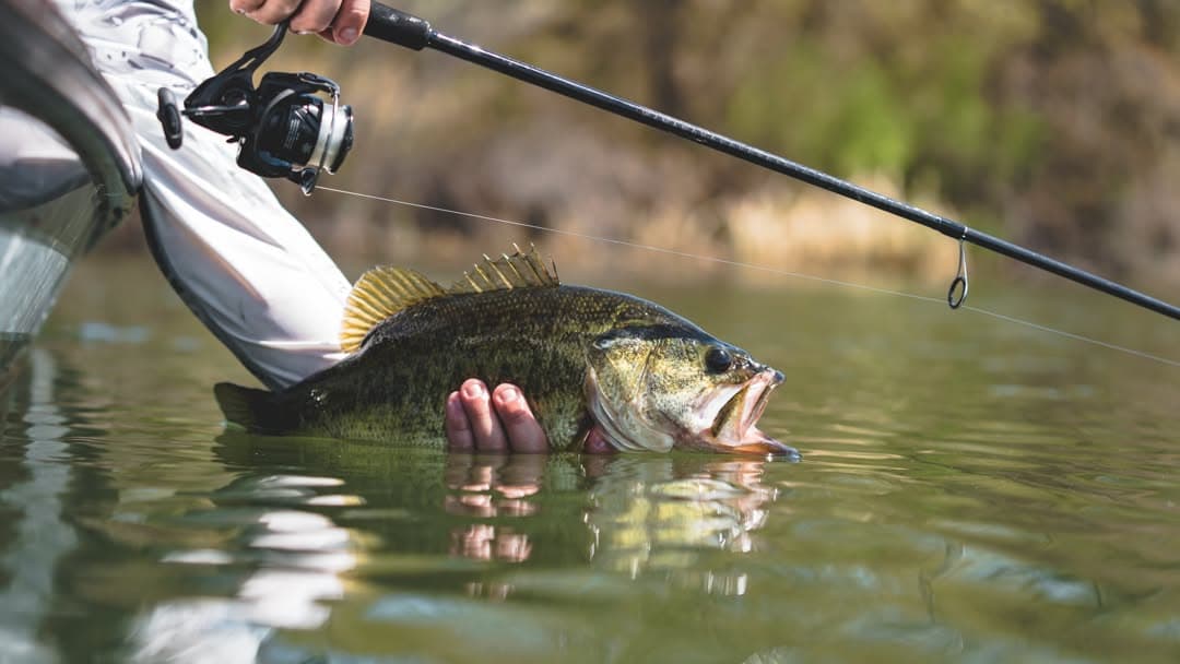 Daiwa Tatula XT, image 4 of 5