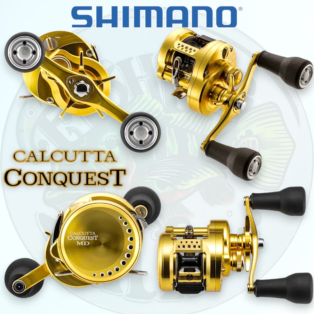 Shimano Calcutta Conquest MD