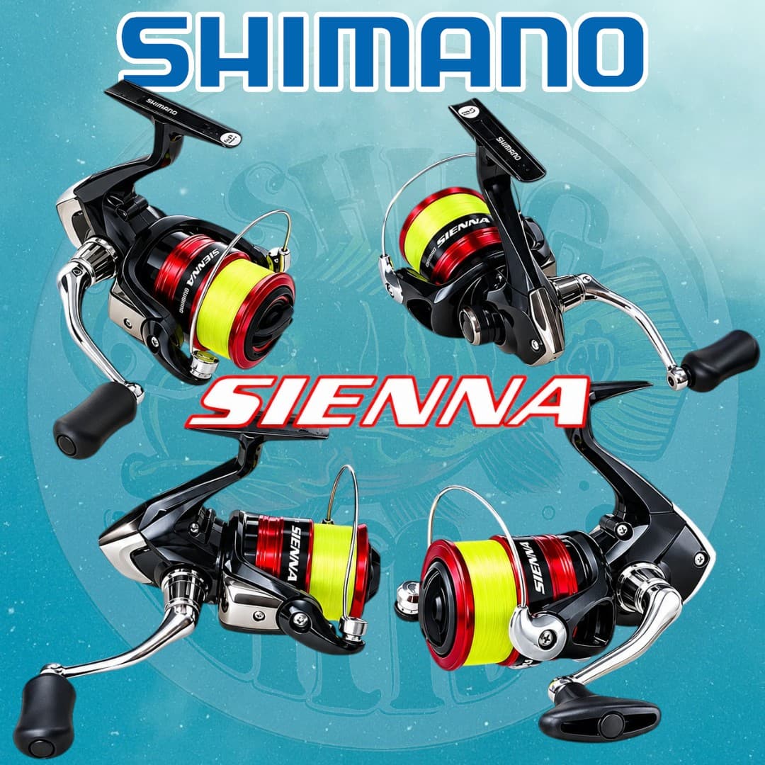 Shimano Sienna