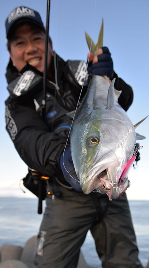 Zeake International R_Sardine, image 5 of 6