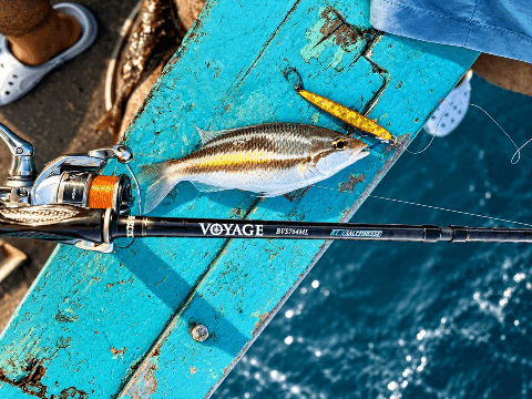 BONE VOYAGE SALT FINESSE (BVS764ML)
