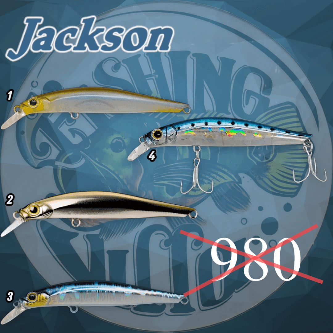 Jackson Artist 95 HW